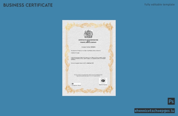 Britische Gründungsurkunde einer privaten Gesellschaft mit beschränkter Haftung (Word und PDF), Version 3 – Beispielvorschau